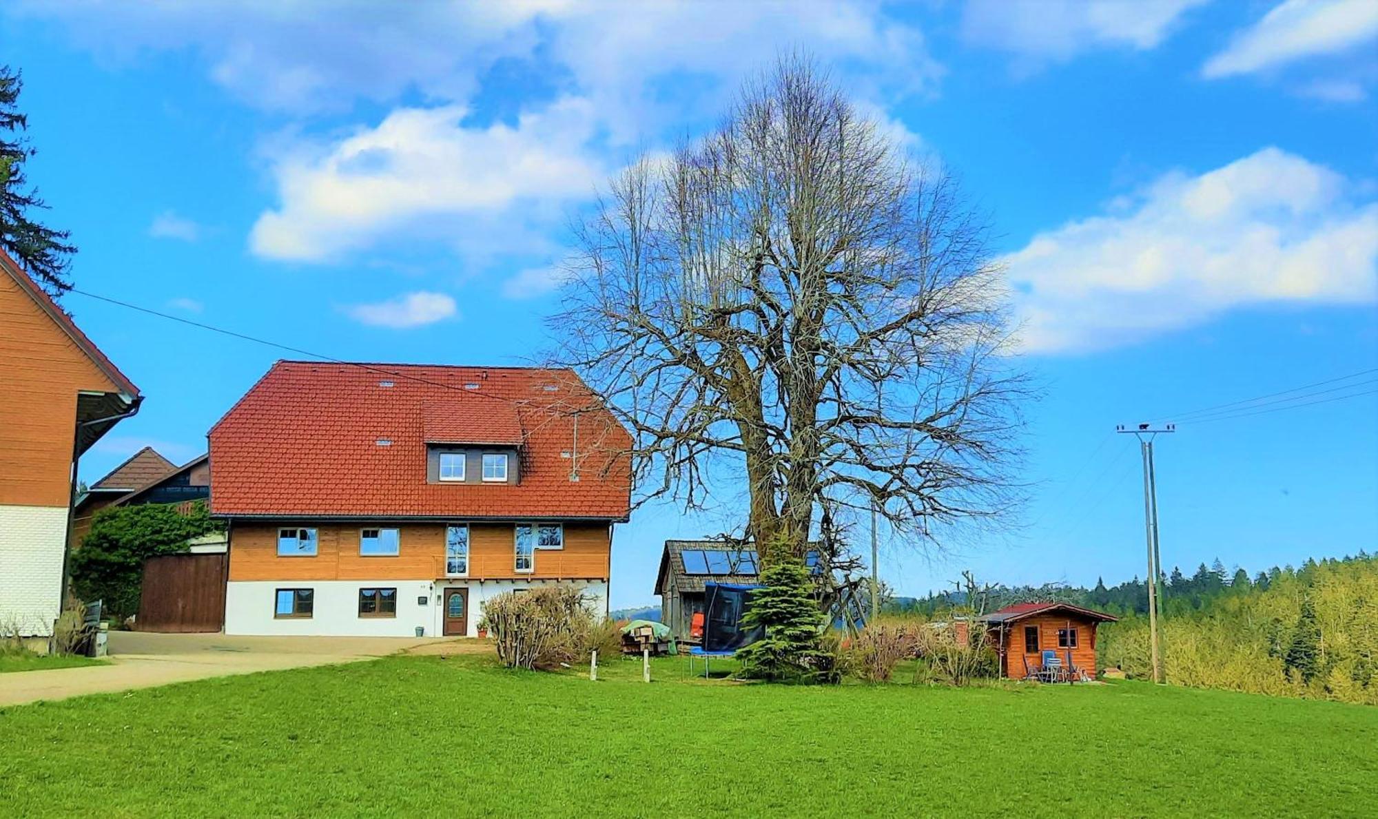 Suessen Haeusle Apartment Breitnau Exterior photo